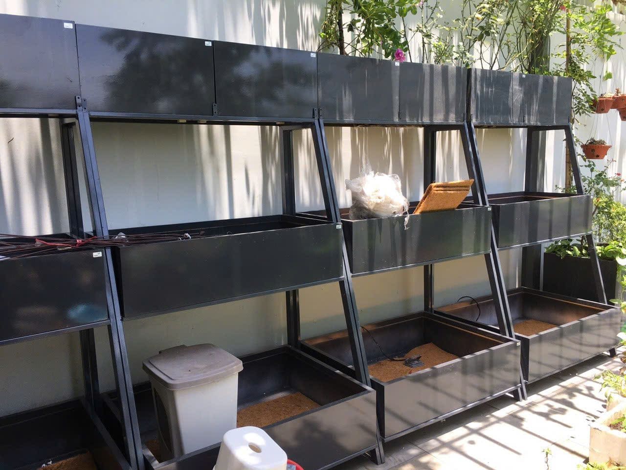 Vườn rau sân thượng đẹp phong cách châu âu DA 101